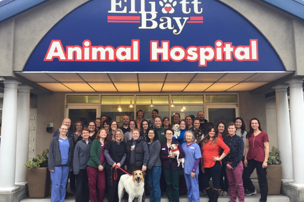 Seattle, WA 98119 Veterinarian - Elliott Bay Animal Hospital